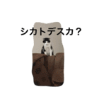 資さんスタンプ②（個別スタンプ：28）