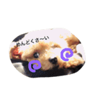 CHOCO♡（個別スタンプ：15）