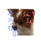 チャチャチビィーの大家族3（個別スタンプ：8）