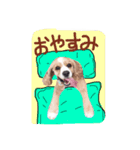キュートなコロちゃん（個別スタンプ：11）