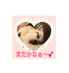 ブサカワ ARU（個別スタンプ：23）