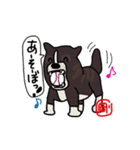 The Akita inu GOTA（個別スタンプ：2）