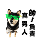 Black shiba,OPEN（個別スタンプ：6）