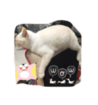 ジュエルスタンプ（個別スタンプ：8）