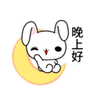 Sunny Day Silly Rabbit (Funny)（個別スタンプ：23）