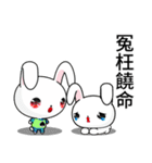 Sunny Day Silly Rabbit (Funny)（個別スタンプ：38）