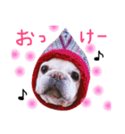 フレンチブルドッグのまーやさん（個別スタンプ：2）