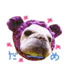フレンチブルドッグのまーやさん（個別スタンプ：17）
