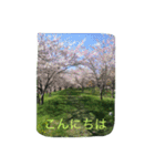 薔薇もあるお花のスタンプ（個別スタンプ：2）