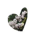 薔薇もあるお花のスタンプ（個別スタンプ：3）