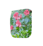 薔薇もあるお花のスタンプ（個別スタンプ：7）