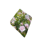 薔薇もあるお花のスタンプ（個別スタンプ：19）