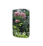 薔薇もあるお花のスタンプ（個別スタンプ：25）