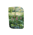 薔薇もあるお花のスタンプ（個別スタンプ：35）