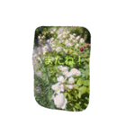 薔薇もあるお花のスタンプ（個別スタンプ：36）