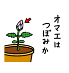 オマエは植物か（個別スタンプ：22）