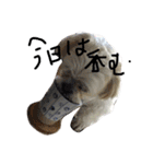 ジローくん2（個別スタンプ：8）