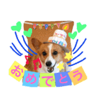 毎日使えるぱぴこスタンプ（個別スタンプ：4）