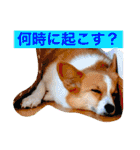 毎日使えるぱぴこスタンプ（個別スタンプ：17）