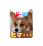 毎日使えるぱぴこスタンプ（個別スタンプ：27）