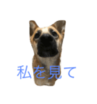 プリンと話そ（個別スタンプ：2）