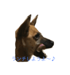 プリンと話そ（個別スタンプ：6）