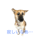 プリンと話そ（個別スタンプ：8）