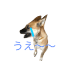 プリンと話そ（個別スタンプ：11）