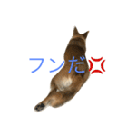 プリンと話そ（個別スタンプ：12）