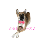 プリンと話そ（個別スタンプ：15）