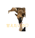 プリンと話そ（個別スタンプ：18）