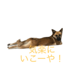 プリンと話そ（個別スタンプ：20）