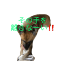 プリンと話そ（個別スタンプ：21）