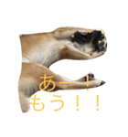 プリンと話そ（個別スタンプ：22）