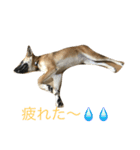プリンと話そ（個別スタンプ：23）