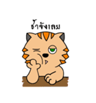 Cat＆Rat（個別スタンプ：11）