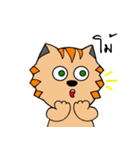 Cat＆Rat（個別スタンプ：16）