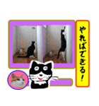 銀ちゃん1.4（個別スタンプ：15）