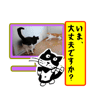 銀ちゃん1.4（個別スタンプ：25）