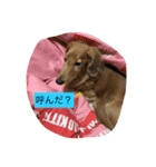 なにげない日常（個別スタンプ：2）