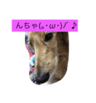 なにげない日常（個別スタンプ：3）