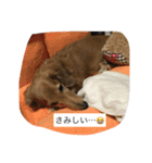 なにげない日常（個別スタンプ：5）
