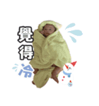 Baby Lucy（個別スタンプ：14）