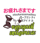 誰でも毎日使える犬日本語タイ語（個別スタンプ：3）