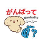 誰でも毎日使える犬日本語タイ語（個別スタンプ：4）