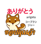 誰でも毎日使える犬日本語タイ語（個別スタンプ：5）