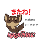 誰でも毎日使える犬日本語タイ語（個別スタンプ：16）