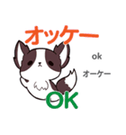 誰でも毎日使える犬日本語タイ語（個別スタンプ：18）