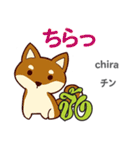 誰でも毎日使える犬日本語タイ語（個別スタンプ：25）