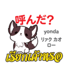 誰でも毎日使える犬日本語タイ語（個別スタンプ：33）